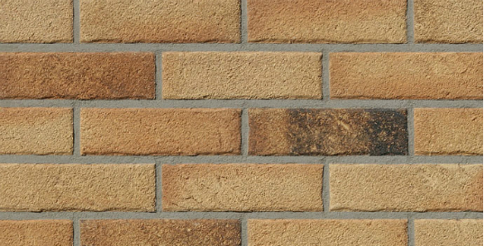 brick מאנוס טונגה מגוון